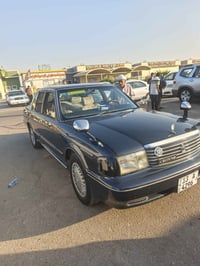 أرنب • ١٩٩٤ • أبو الخصيب