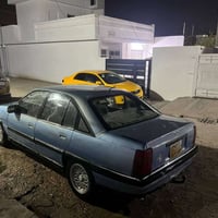 بدون سبغ • ١٩٩٣ • كركوك