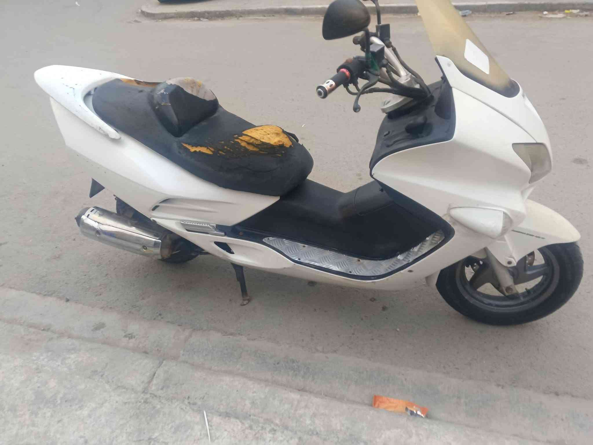 فورزه 06 • فحل • معدل يخبل