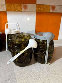 طرشي حار • جملة ومفرد • ميسان الماجديه