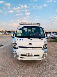 حمل فحل • صبغ عام • ٢٠١٦