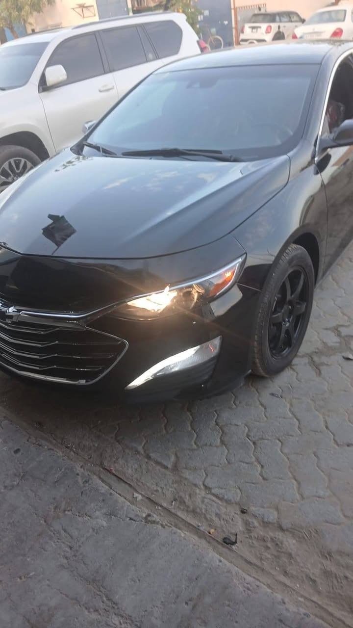 ماليبو • ٢٠٢٤ • رقم بغداد
