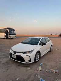 كورلا هايبرد • ٢٠٢٥ • البصرة المعقل
