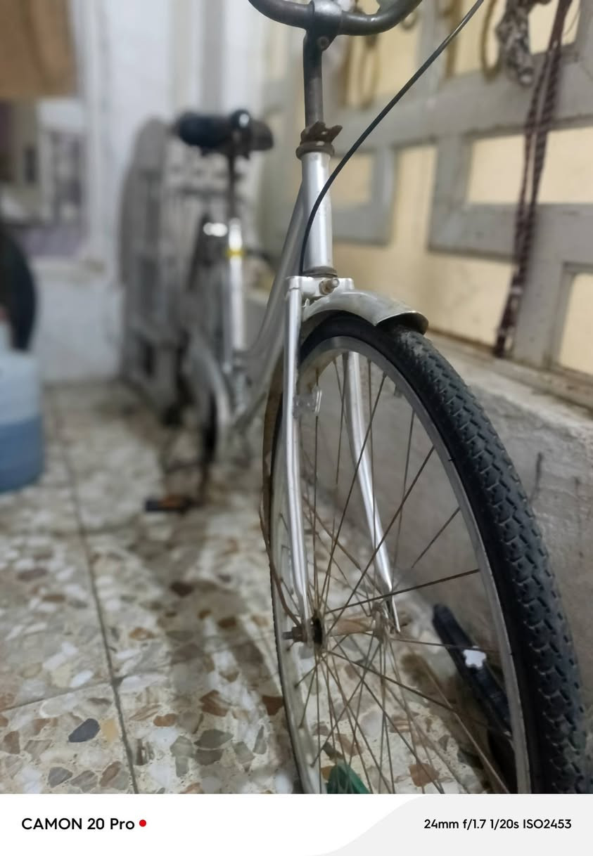 السلام عليكم باسكل للبيع مال حاويه الباسكل نضيف للبيع في النجف الأشرف شارع المدينة السعر خاص وهذه رقمي *********** فقط واتساب

نص مكتوب في الصور:
- CAMON 20 Pro • 24mm f/1.7 1/20s ISO3004
- CAMON 20 Pro • 24mm f/1.7 1/20s ISO2453
- CAMON 20 Pro • 24mm f/1.7 1/20s ISO3127
- CAMON 20 Pro • 24mm f/1.7 1/20s ISO3495