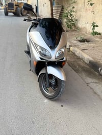 فورزة MF • ٠.٩ • أوراق