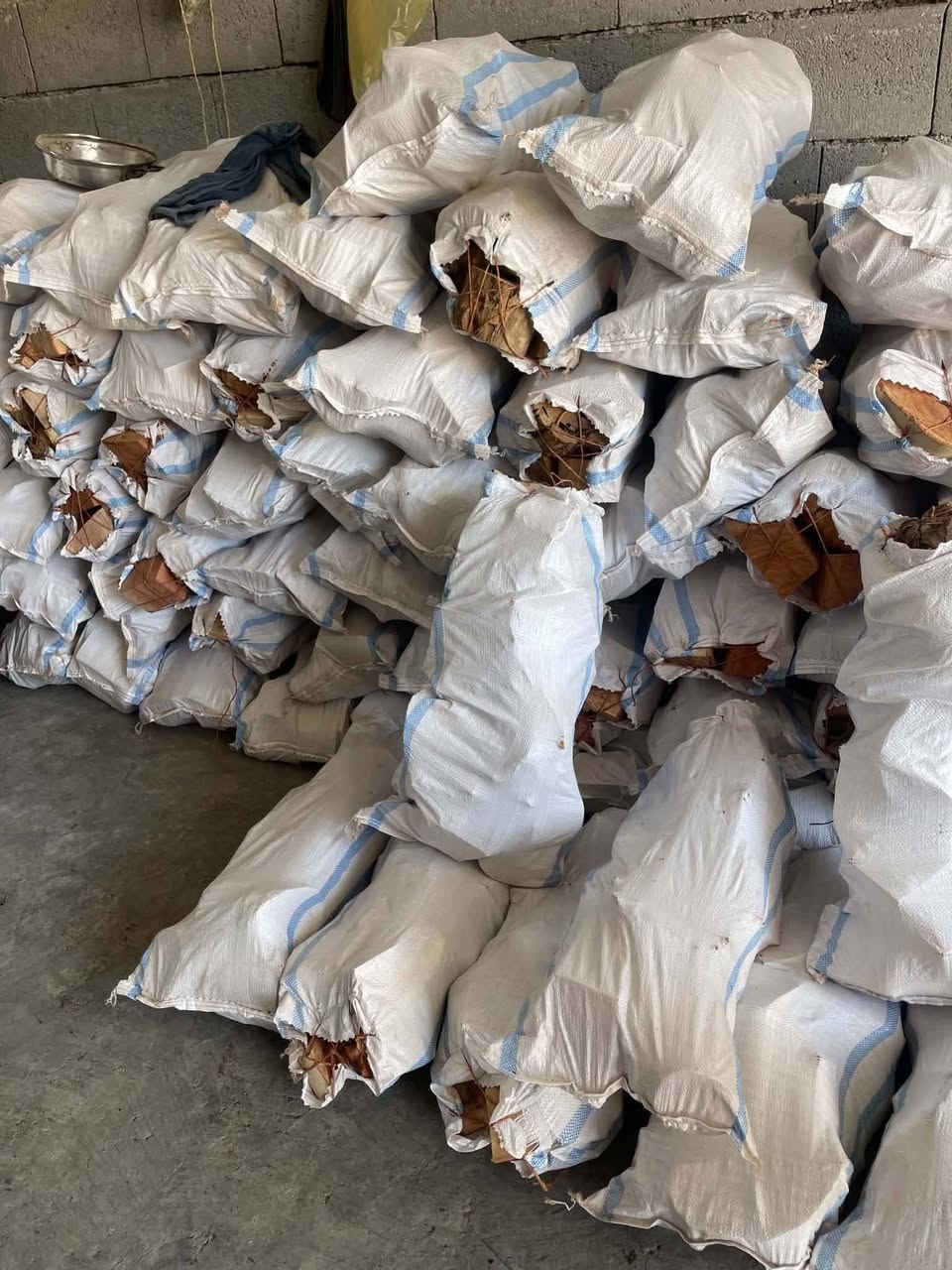 يوجد حطب مقطع وكامل بس تشوي حطب كالبتوز. سعر المفرد 4.500/سعر الجمله. 4000. للاستفسار. ***********
