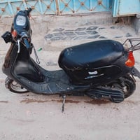 منغولي • شغال • سلف وهندر