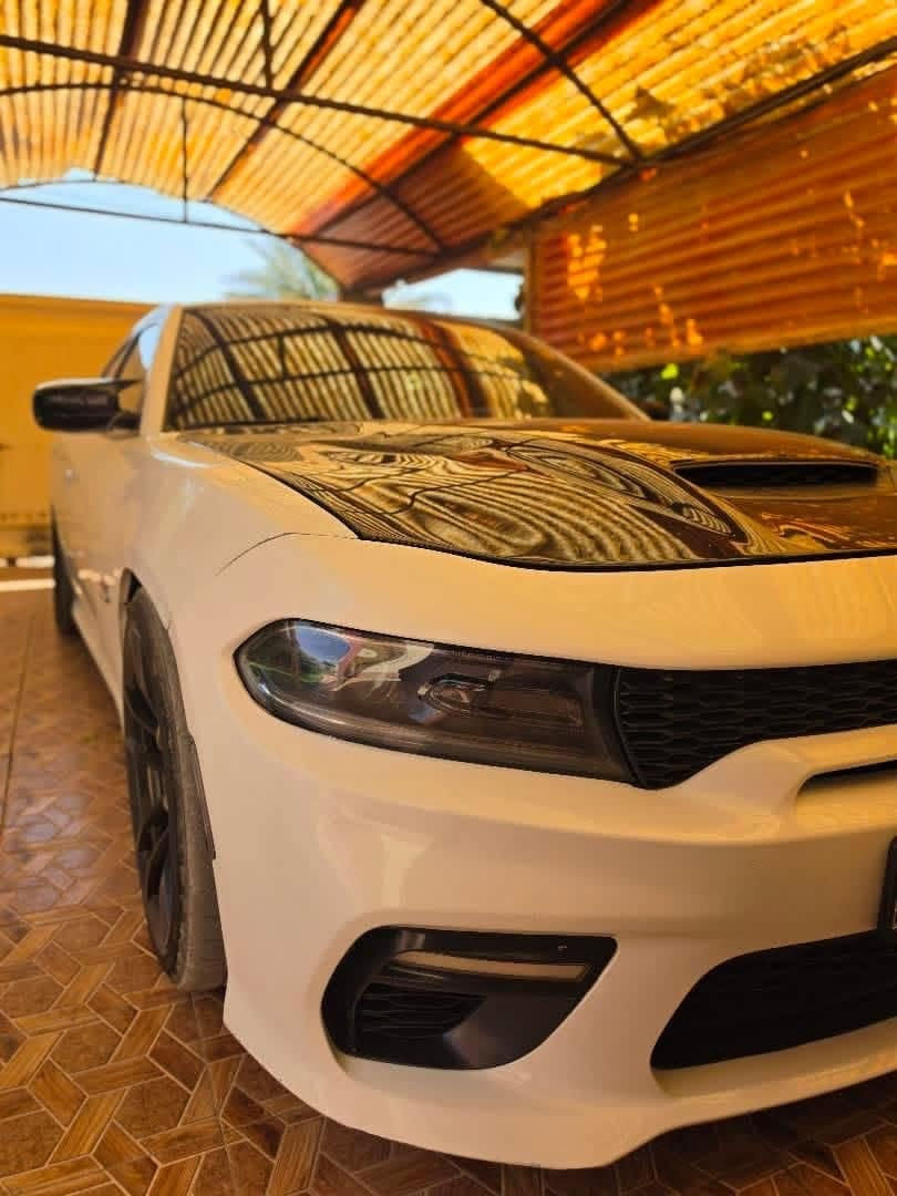 سكات باك • فول مواصفات • الديوانية
