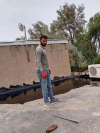 ماستك • زفت دهني • خلفه