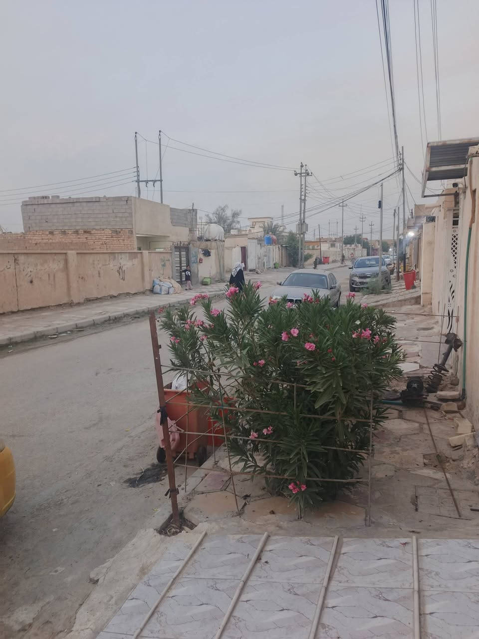 ام غربه • ١٥٠م • ملك صرف