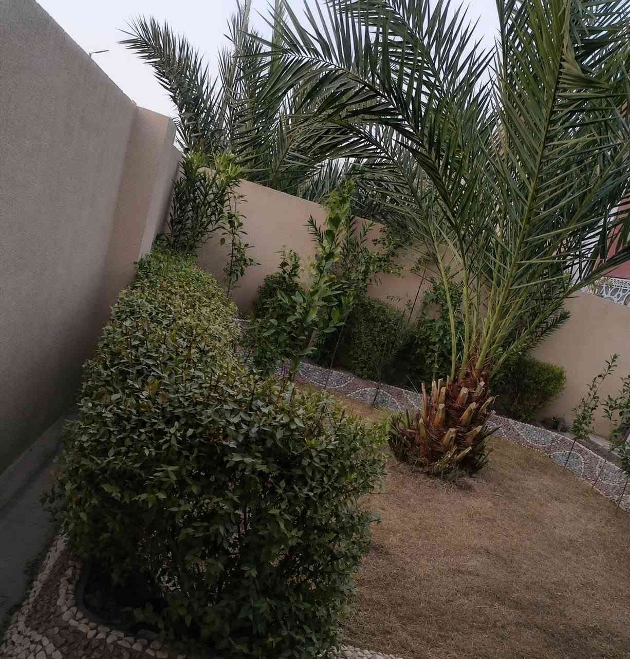 مجمع السلام • ٢٠٠م • ٣غرف