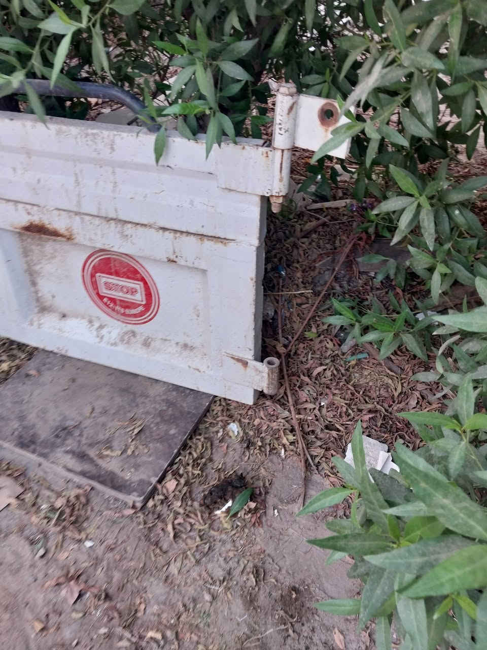 باب خلفي • اتيكو • بغداد