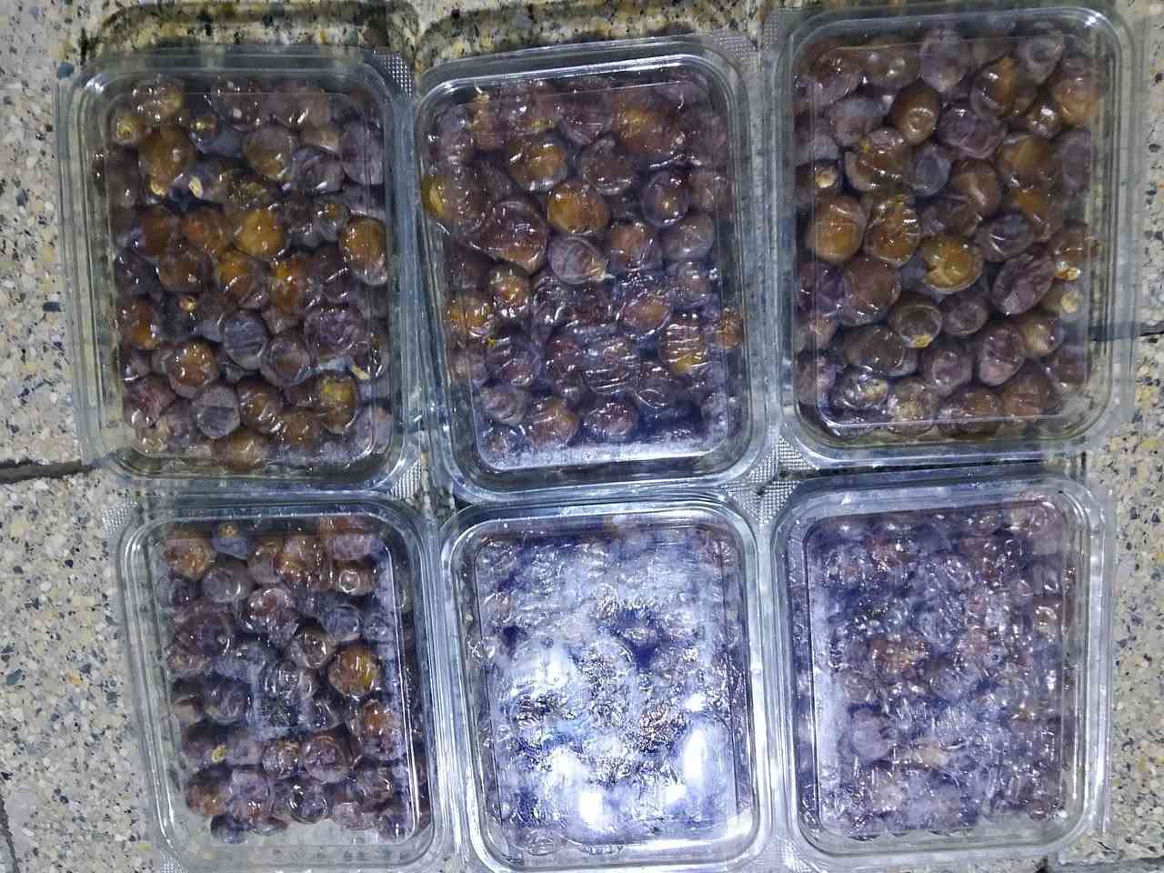 تمر برحي • علبة بلفين