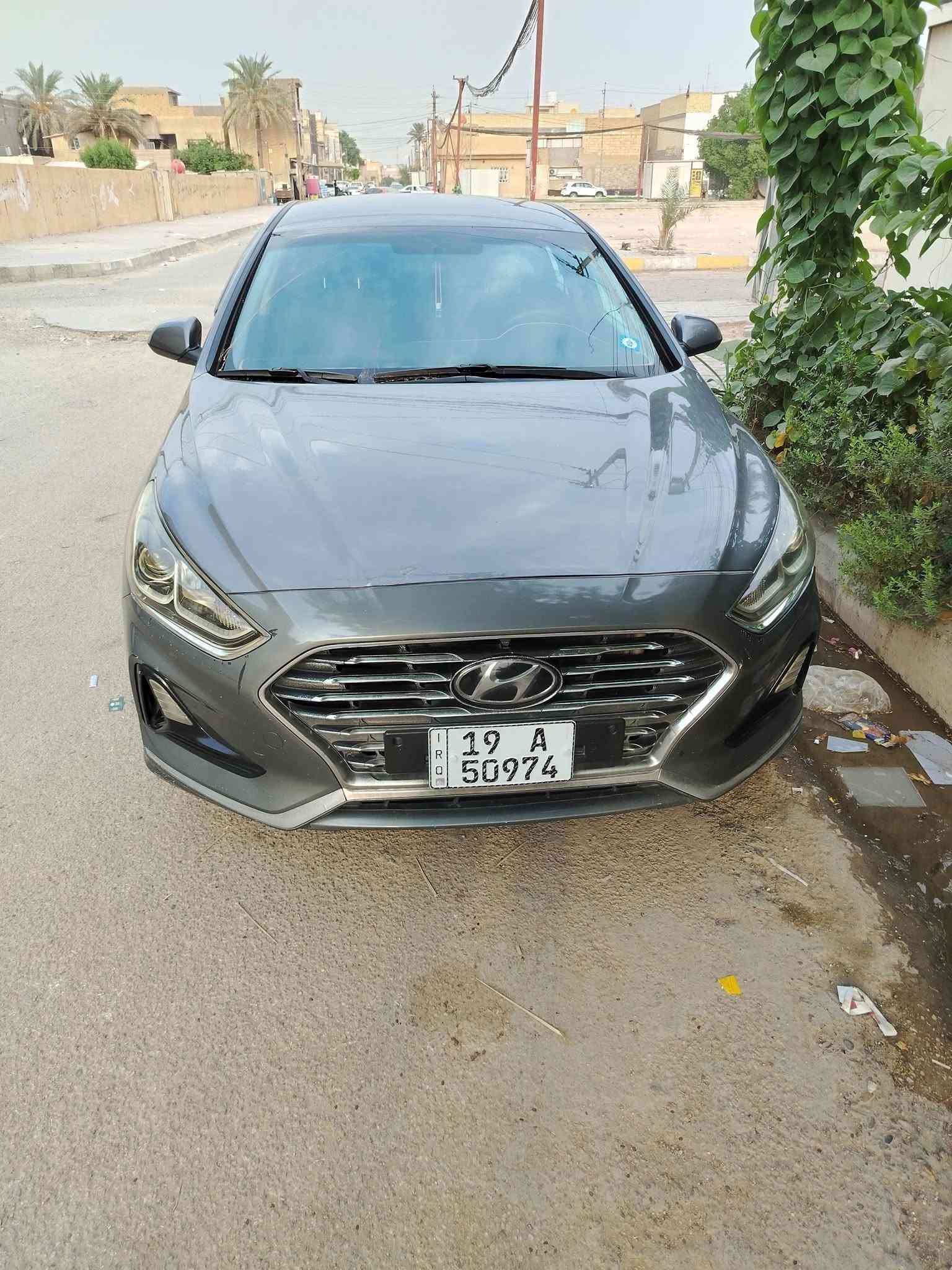 سوناتا • ٢٠١٩ • وارد أمريكي