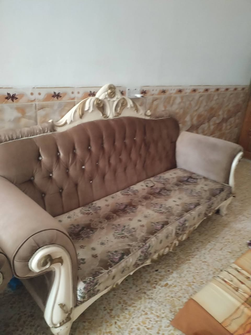 تخم راسي  اخو الجديد السعر مناسب  ***********
