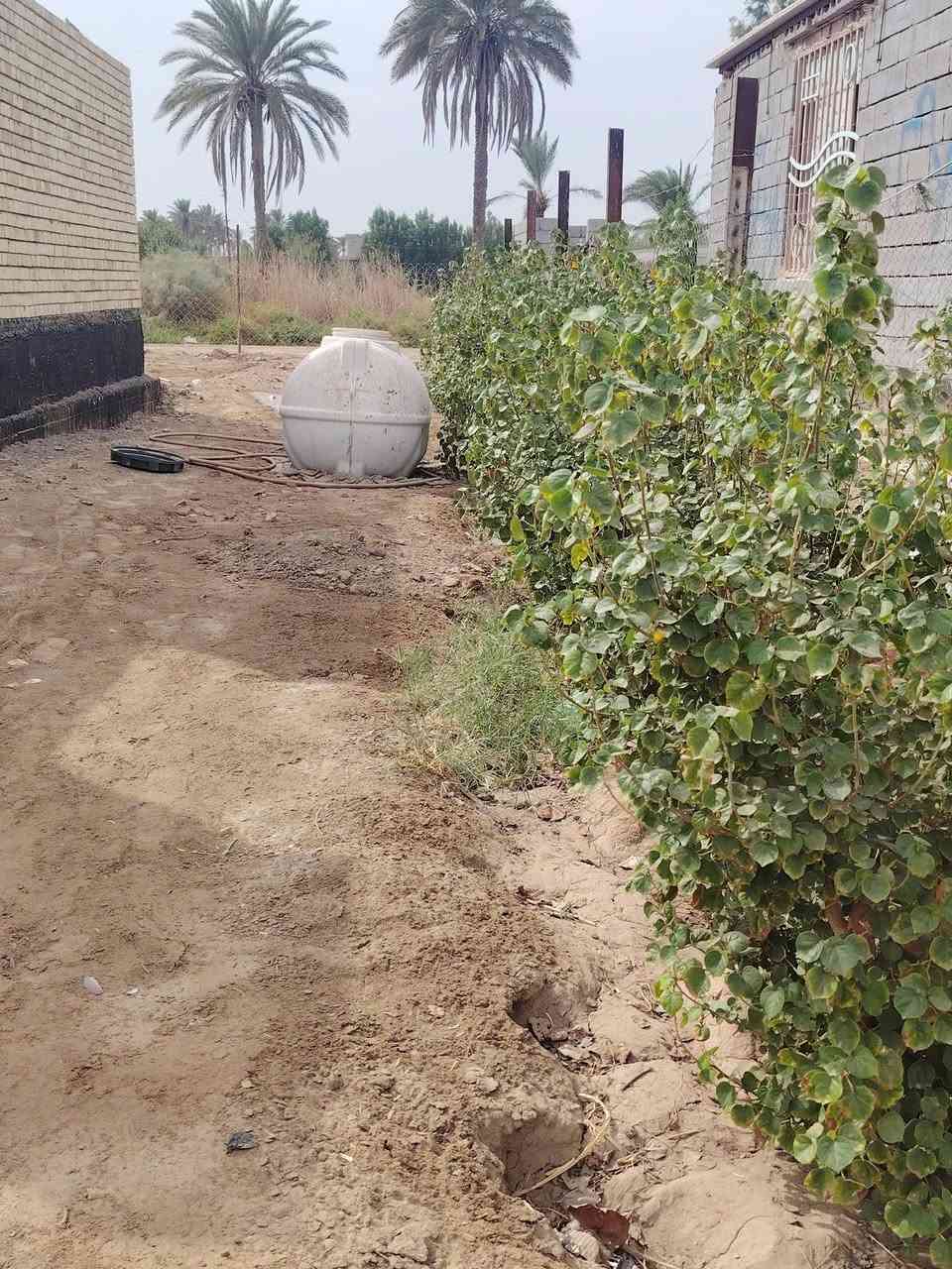 بابل جبله • ٢ دونم • طابو زراعي