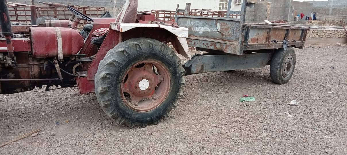 عنتر • الرمادي