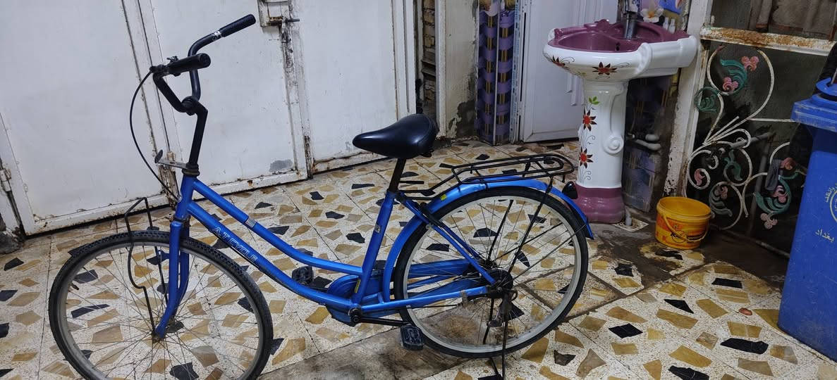 باسكل • ٢٠٢٥ • ميسان