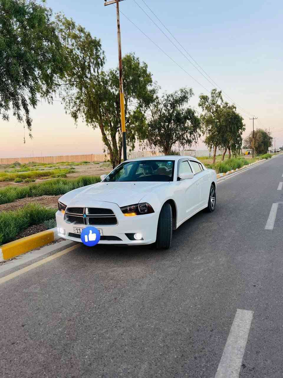 للبيع
دوج جارجر 2011sxt
وارد كندي 
استخدام شخصي 
6سلندر 3.6
رقم بغداد إنكليزي ب اسمي سنوية 
صلاحية السنوية2031
تحويل او وكالة
كفالة من الفتح وتبديل والصبغ 
حدادية تخم تاير +كير مكينة تبريد  كفالة ع شرط
شاشة كبيرة كاربلي +أندرويد أوتو 
كشن كهرباء مخمل 
لايت زنون عالي ناصي 
مسطرة جديدة
اي كلوب مامشتغل بدشبول 
جام اوتو
الديوانية *********** واتساب
