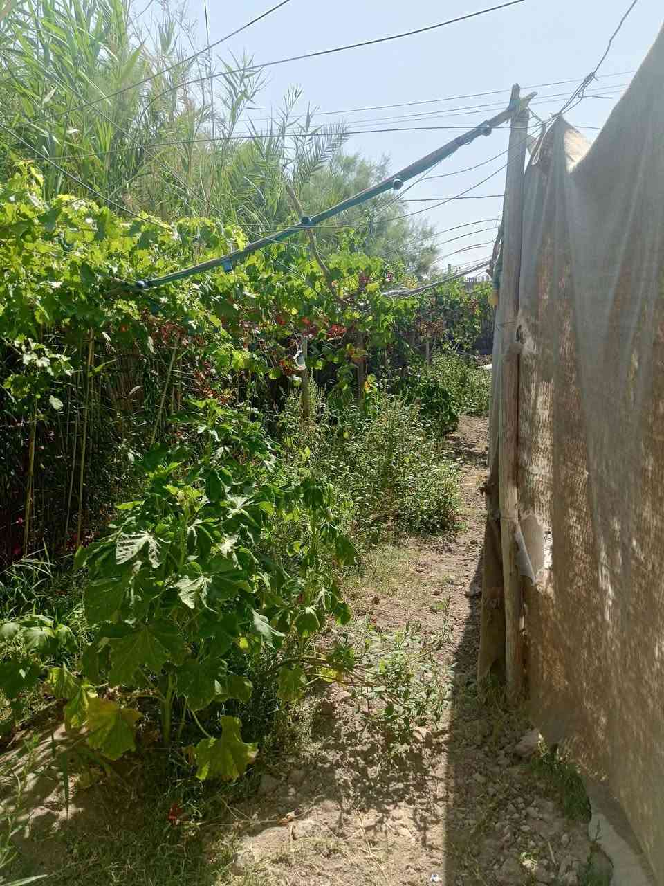 اعلان
بيت للبيع
المساحه 500متر
البنا 200 يحتوي على غرفتين و ستقبال جاهز و مطبخ حار و بارد صحيات داخليه و خارجيه 
الحديقه 300
على شط الفرات قرب سيطرة معمل الببسي
شارع الروفه طريق الزوار 
للإستفسار *********** 
سعر جدا مناسب
