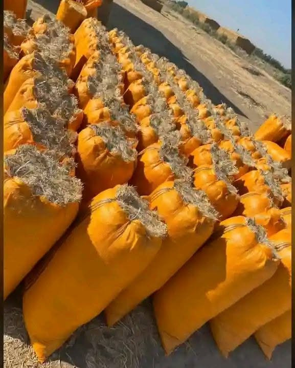 مرجوحه • حجم 60 • طول 83