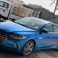 النترا • ٢٠١٧ • وارد أمريكي