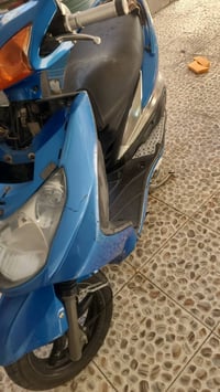 سكنس فحل • نوزل ياباني • كفرات بلاديه