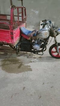 ستوته • ٢٠١٣ • ديوانيه