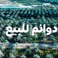 ١٢٠ دونم • طابو زراعي • شارع السياحي