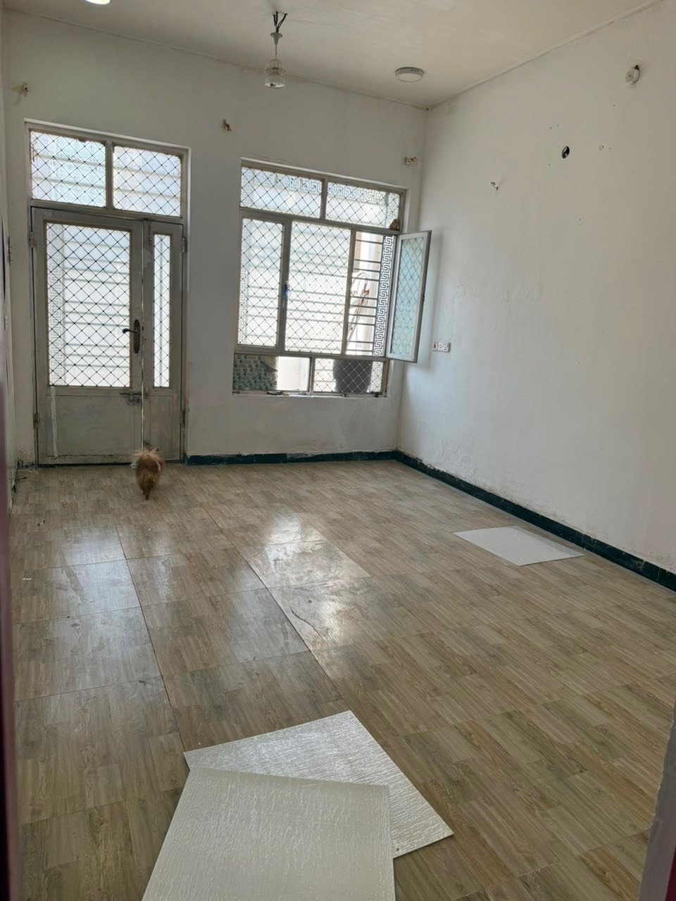 🏡 **للبيع بيت في حي الجهاد – خلف المخابرات طابو صرف **

📍 موقع مميز وهادئ
📐 المساحة: 100 م²
📏 الواجهة: 4 م × 25 م

مناسب للسكن أو الاستثمار، وبموقع مميز داخل حي الجهاد.

📞 للتواصل والاستفسار: الرقم الموجود في الصورة
البيت طابق واحد لو أكثر من طابق؟ وإذا بيه سطح أو حوش/كراج، ممكن توضّحونه؟: 
طابق 
شنو حالة البناء والتشطيب؟ هل البيت جديد وجاهز للسكن لو يحتاج شغل/تصليحات بسيطة؟: 
جديدة
الموقع بالضبط داخل حي الجهاد وين؟ وهل قريب من شارع رئيسي أو معلم معروف حتى يسهل على المشتري يوصل؟: 
جامع رسول الله (ص)
إذا موجود، شنو تفاصيل الخدمات: ماء، كهرباء، مجاري، ومنظومة/مضخة أو خزّان؟: 
كلها متواجده 