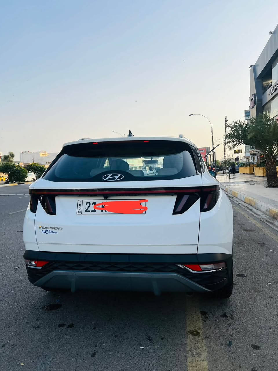توسان • ٢٠٢٤ • بدون صبغ