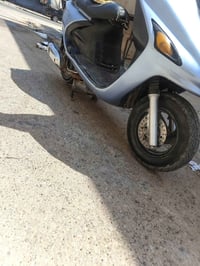 فحل • دسك • سلف