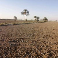 الرمادي اليرموك • ٣ دونم • طابو زراعي