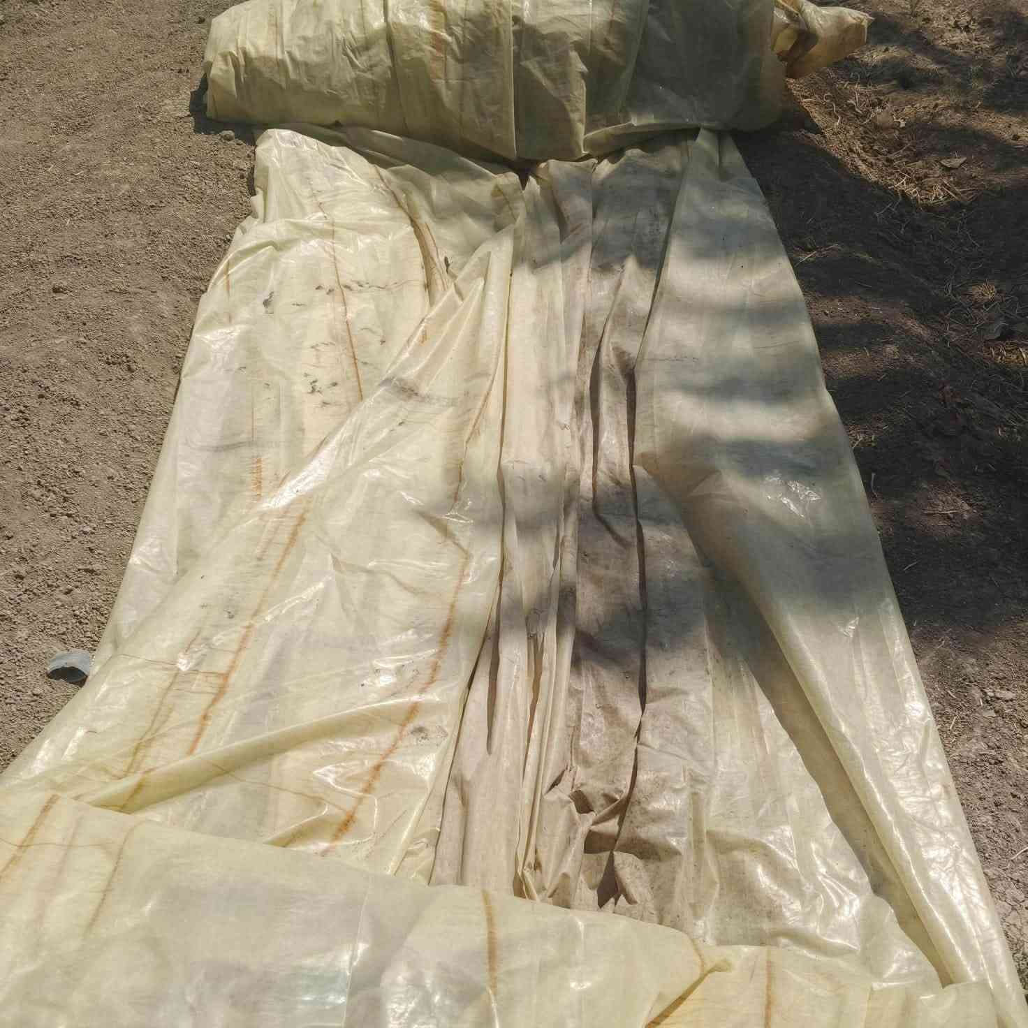 سلام عليكم نايلون قطعتين وحده طول  ٣٣ متر وعرض ١٤ والثانيه طول ٢٢ وعرض ١٤ نضافه ٩٠٪؜ مشتغل ٣ مواسم  المكان بابل ناحيه الامام طريق السريع ***********
