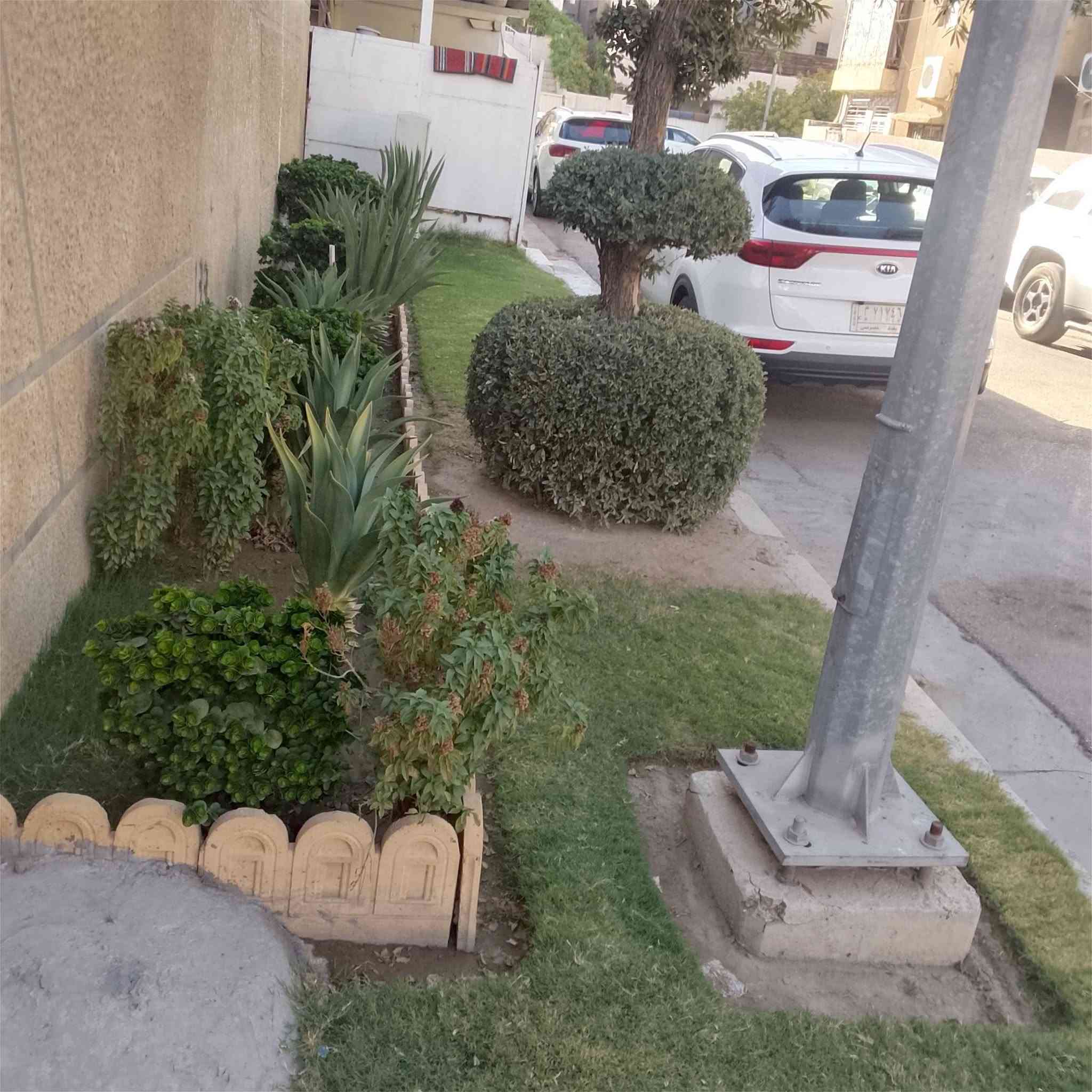 ترتيب حدائق • ديكورات حدائق • داخل الطيفيه