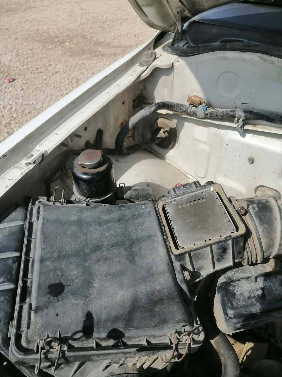 دبل قمارة • ٢٠٠٤ • مكفولة صبغ