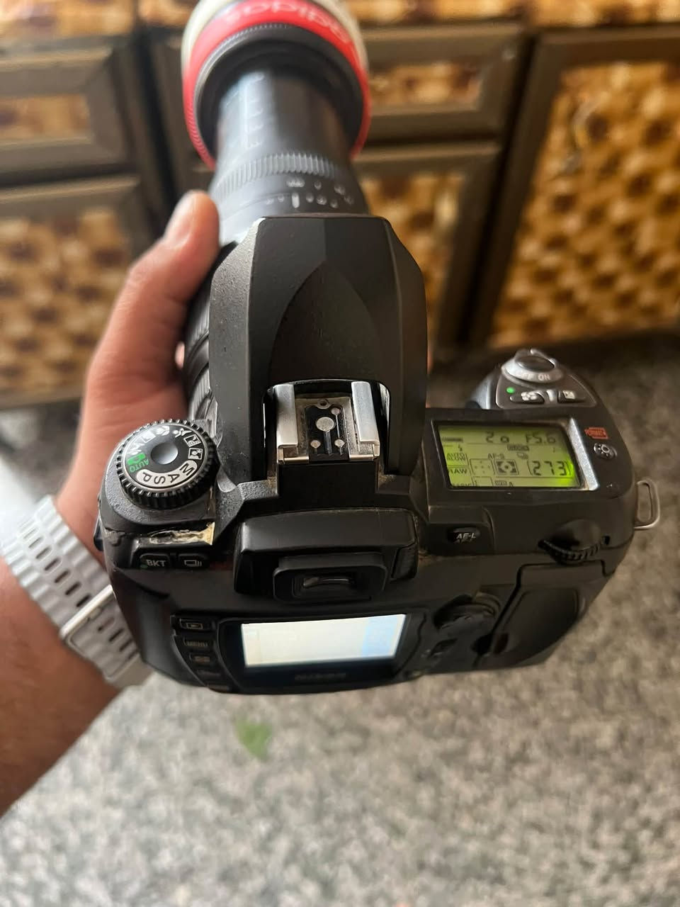 نيكون D70 • شغاله • صلاح الدين
