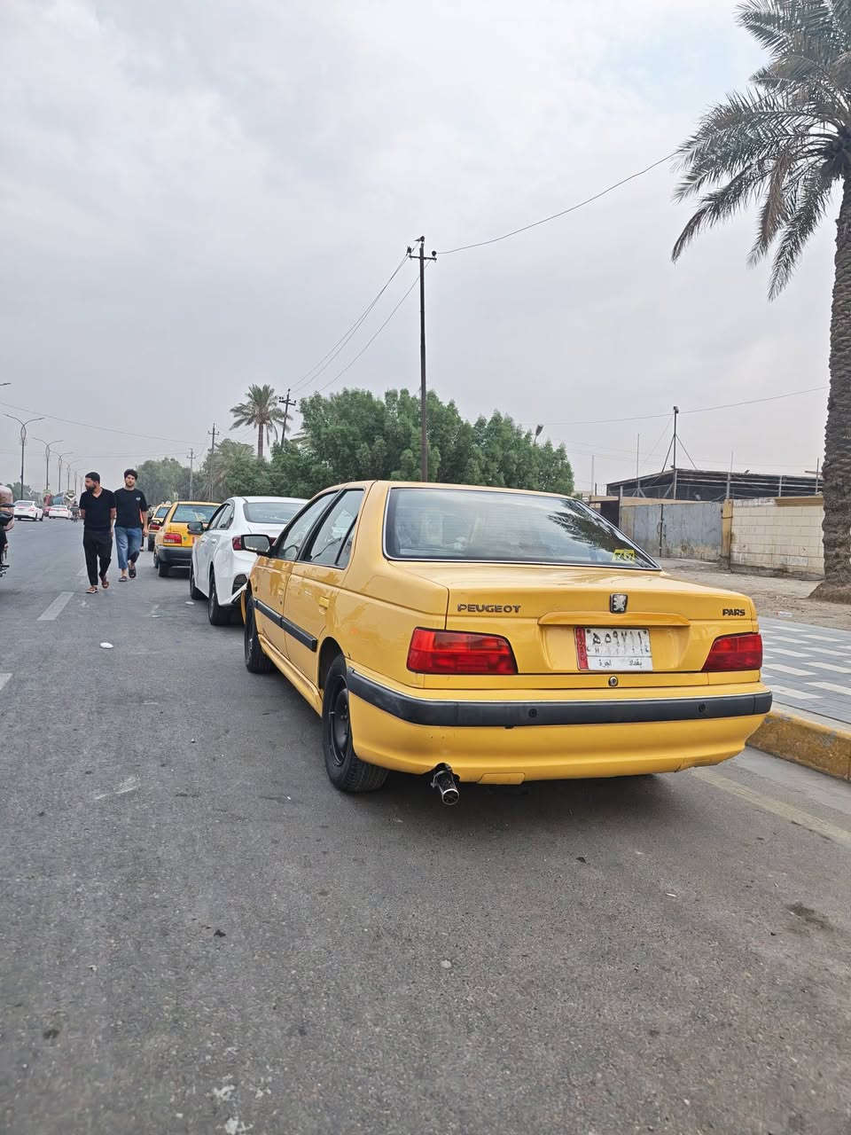 بارس 2107 • كفاله عامه • صبغ البنيد