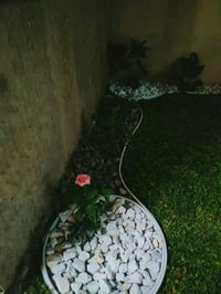 تقليم أشجار • قص ثيل • قلع أشجار