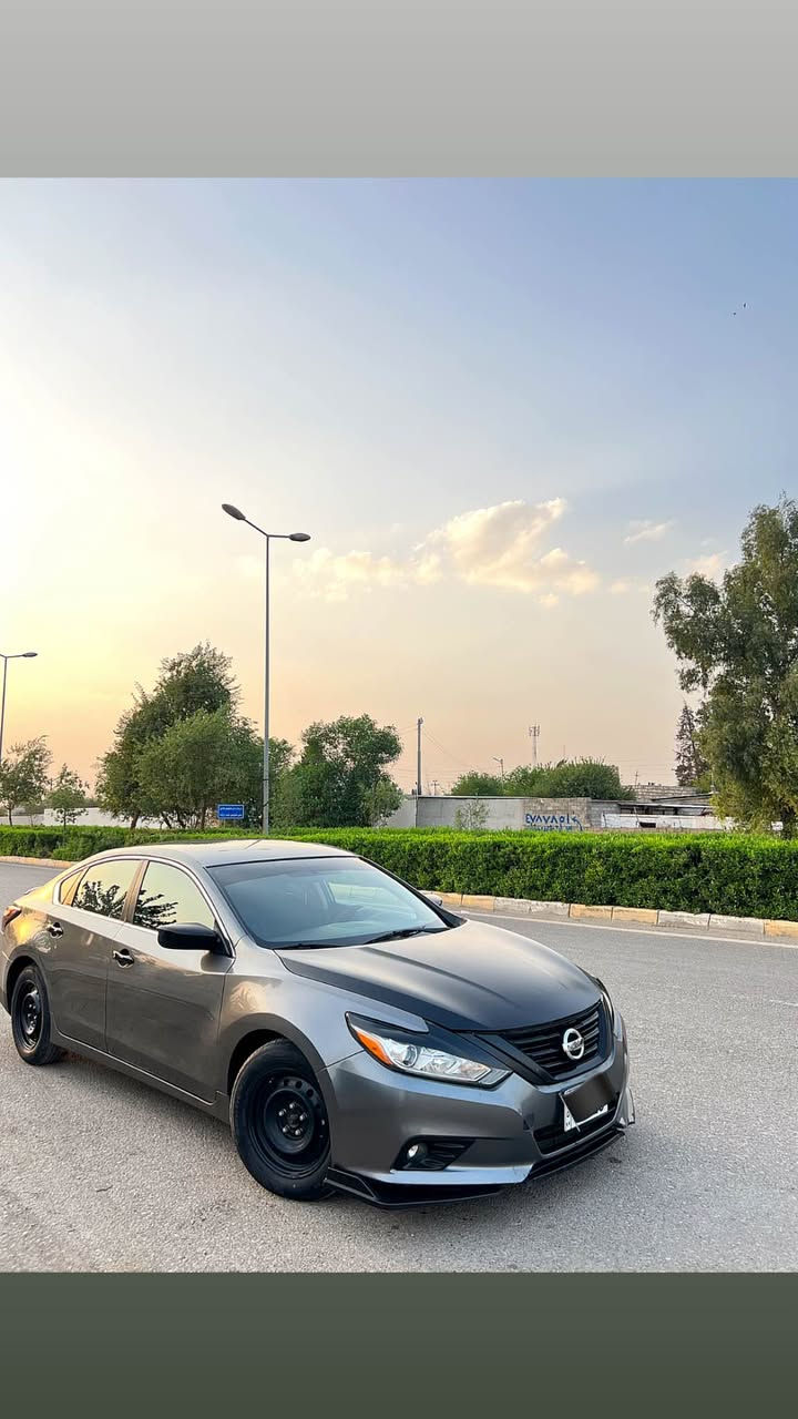 التيما • ٢٠١٦ • أربيل