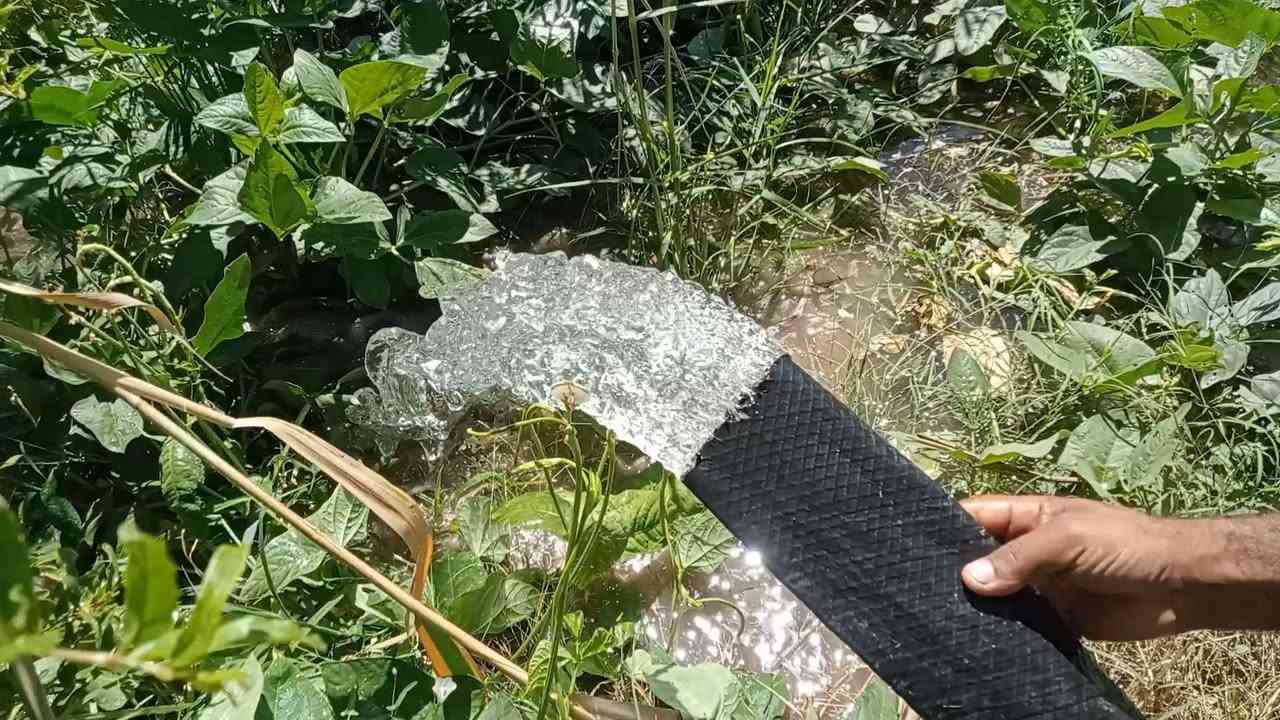 بستان • ٦ دونم ٦٠٠م • سند ٢٥ باسمي