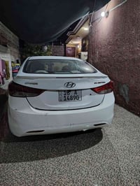 النترا • ٢٠١٣ • دوالي سنوية