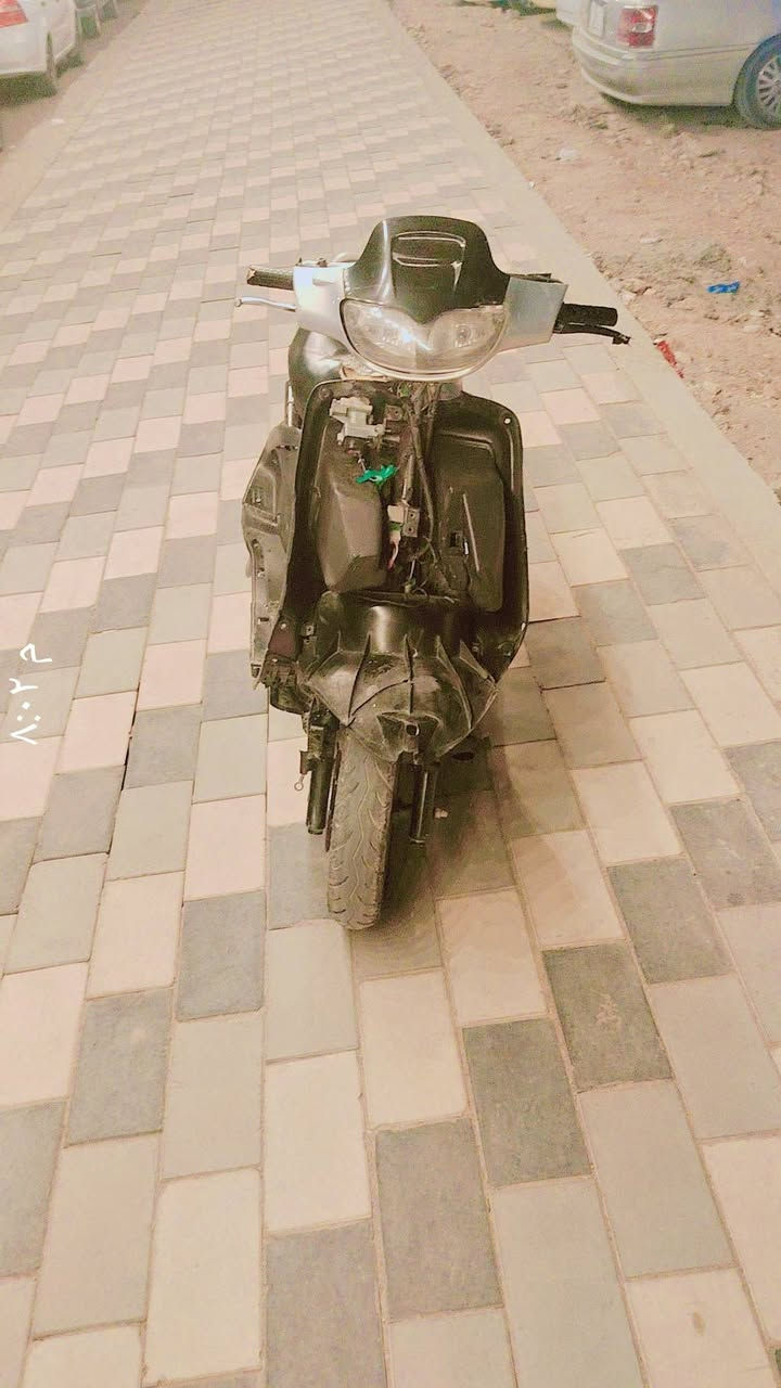 فراشة فحل • ٢٧٥ • شلعته