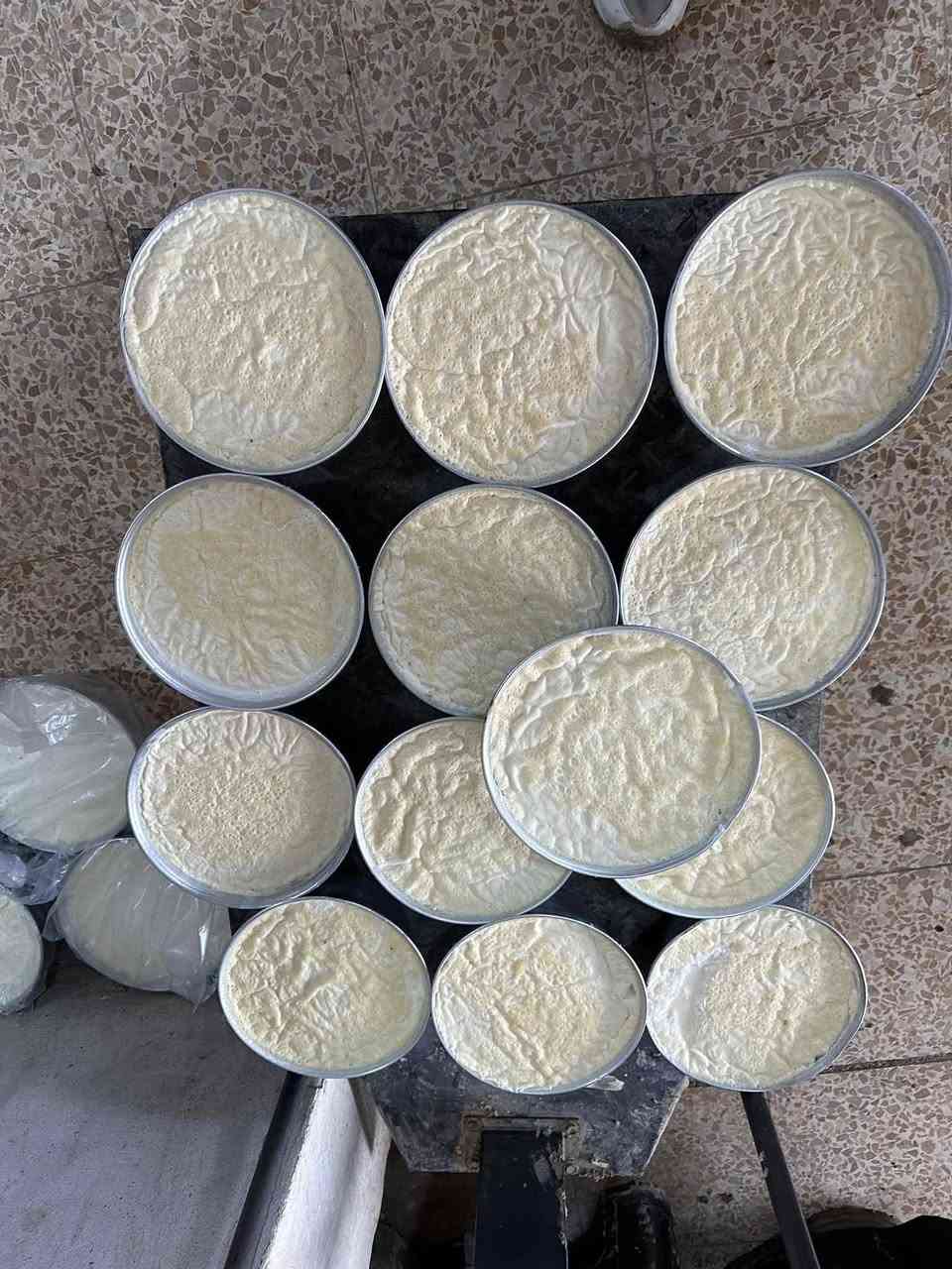 ألبان الحساوي • لبن غنم • الموصل المثنى