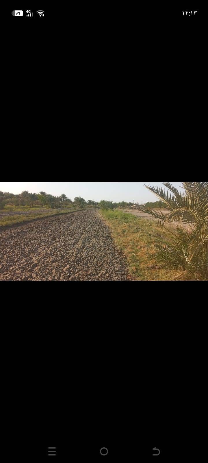 الناصرية الخميسات • ٢ دونم • ٥٠ نخلة