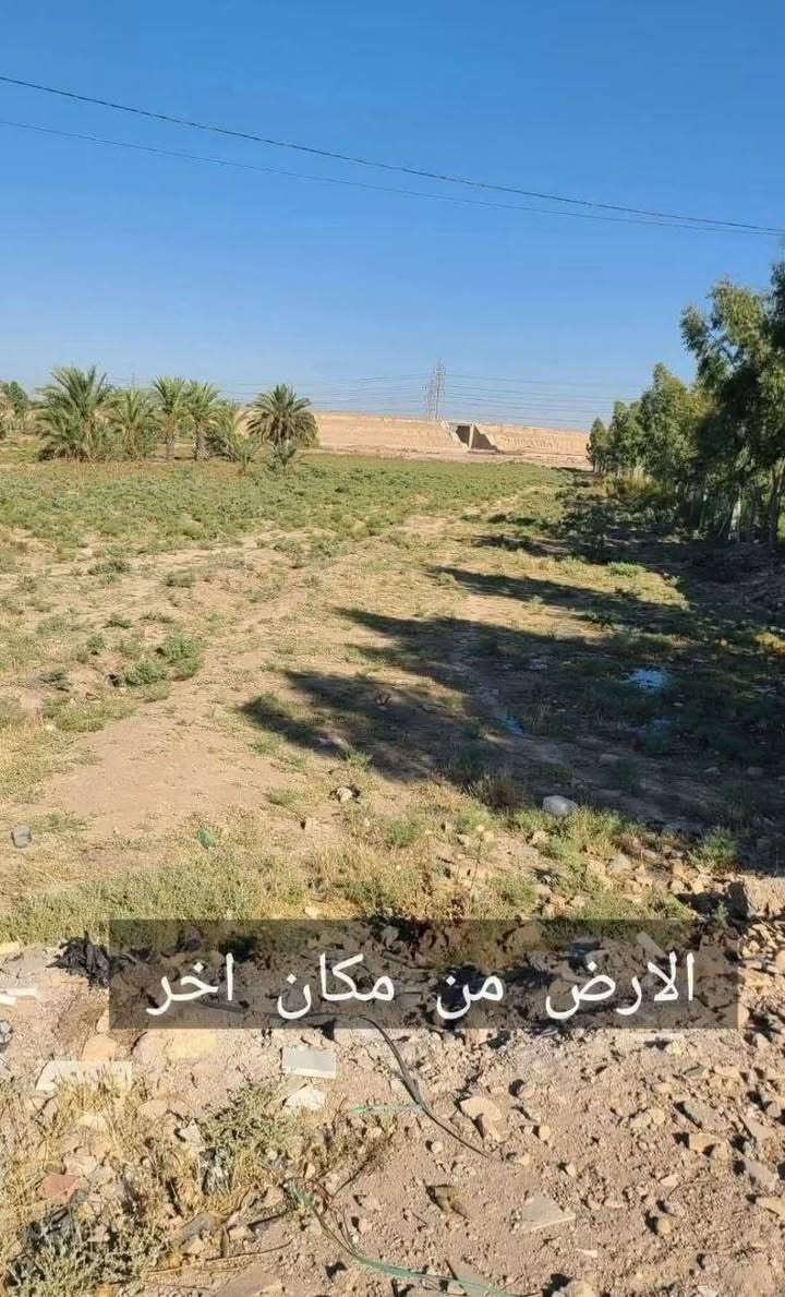 دونم زراعي • ابوغریب الشيحة • محيطة بمزرعة