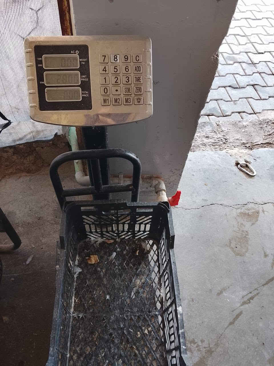 غراض دجاج • كامل • حي الشهداء