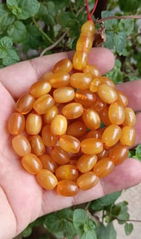 الكهرب • بلغمي • ٥١خرز