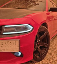 ويل نجمة الخسفة القوية قياس 20 زوج مراوس بويل ويلد رايد 18 07847694178