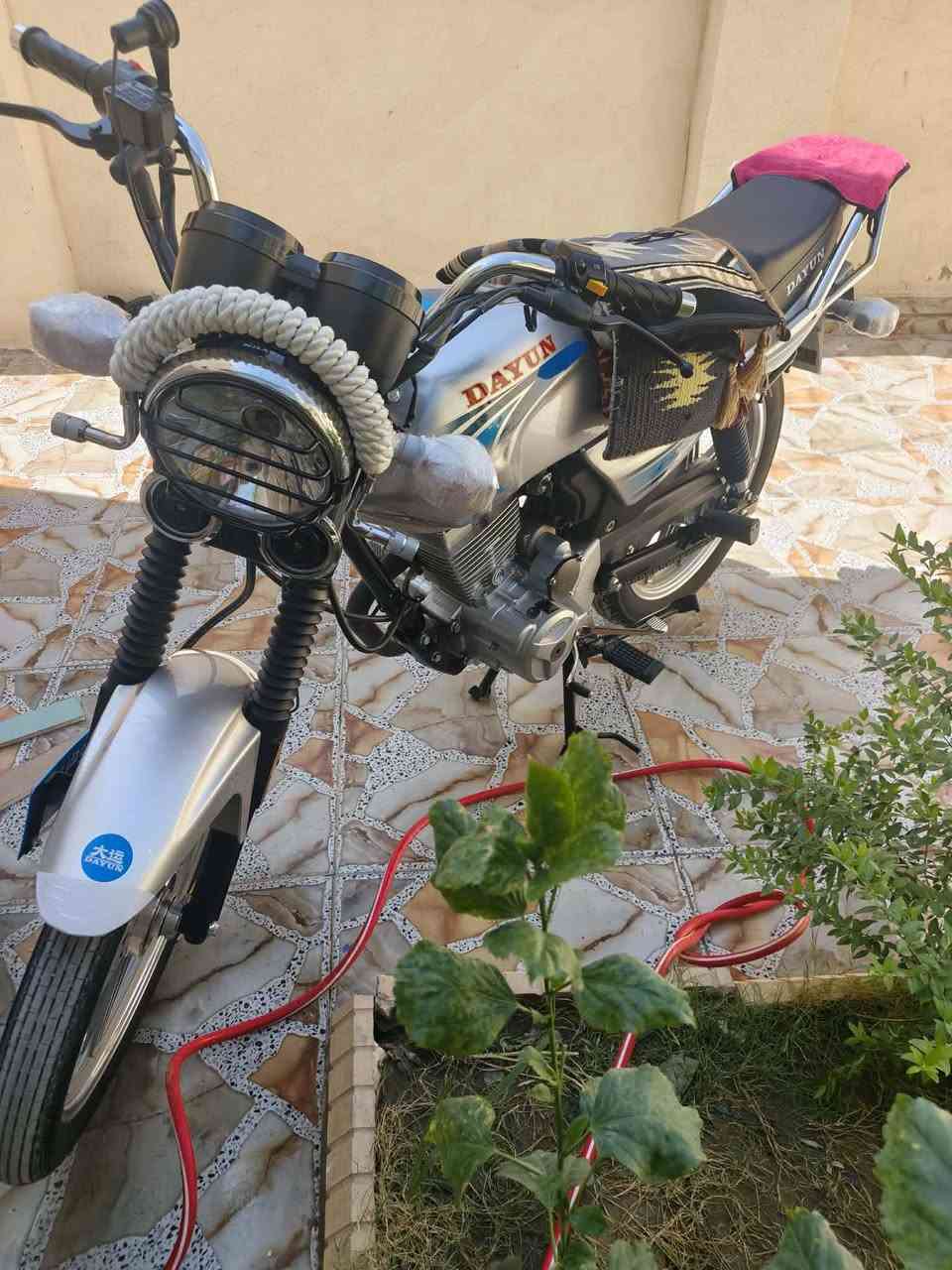 للبيع دايون طالعه من ثامر خلخال  صارلهه شهرين تفاصيل بلفيديو ***********

